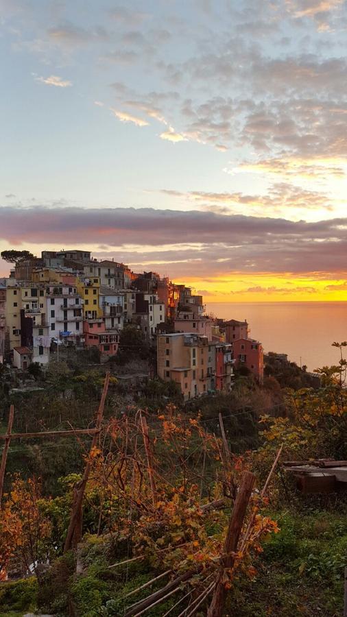Terre Apartment Corniglia Exteriér fotografie